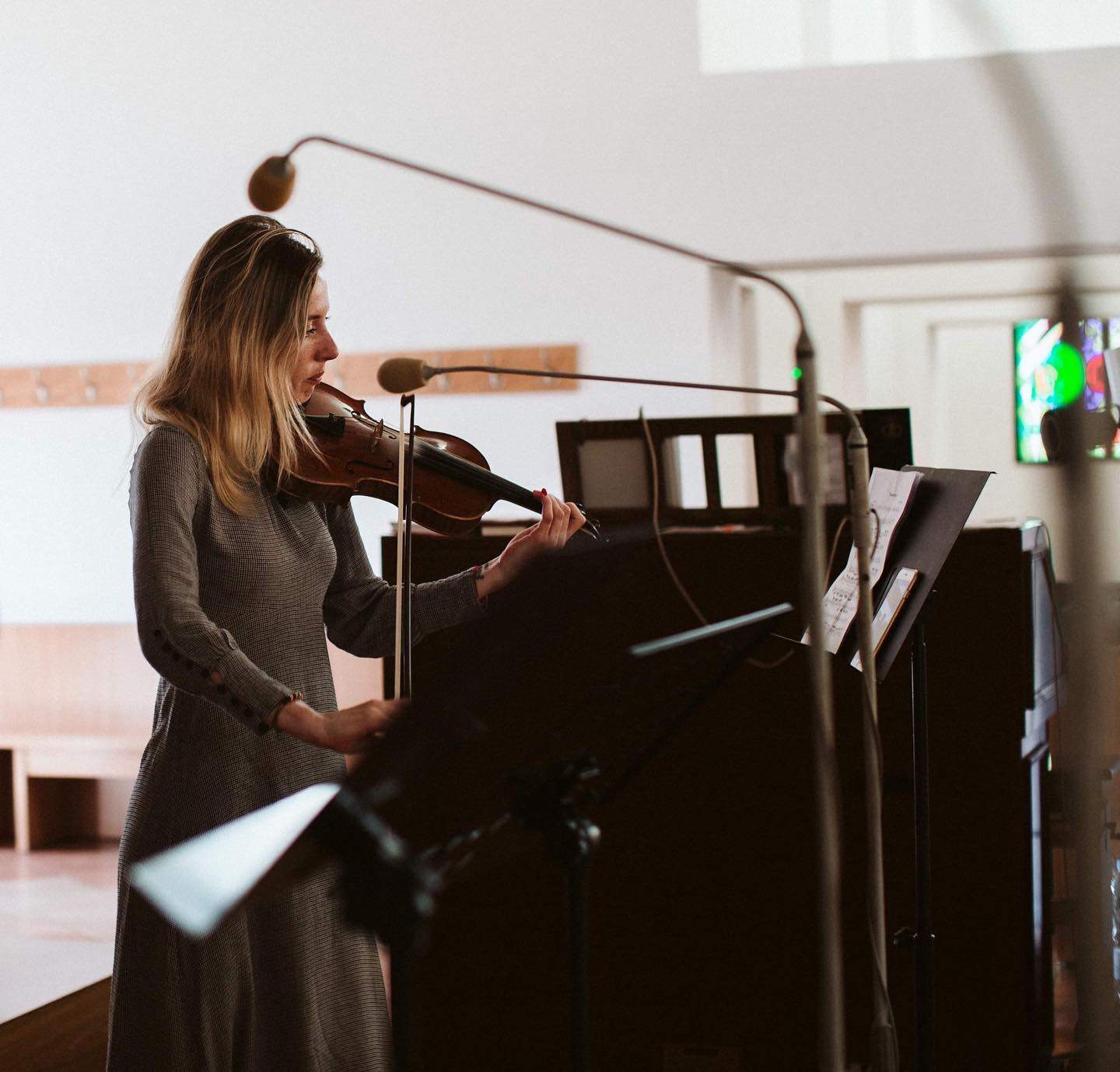 Nauczyciel gry na skrzypcach | Gra